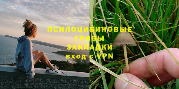 гидропоника Ельня