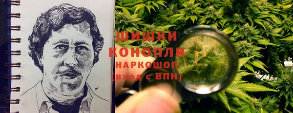гидропоника Ельня