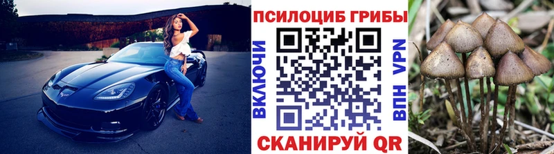 купить закладку  Смоленск  hydra вход  Галлюциногенные грибы Magic Shrooms 