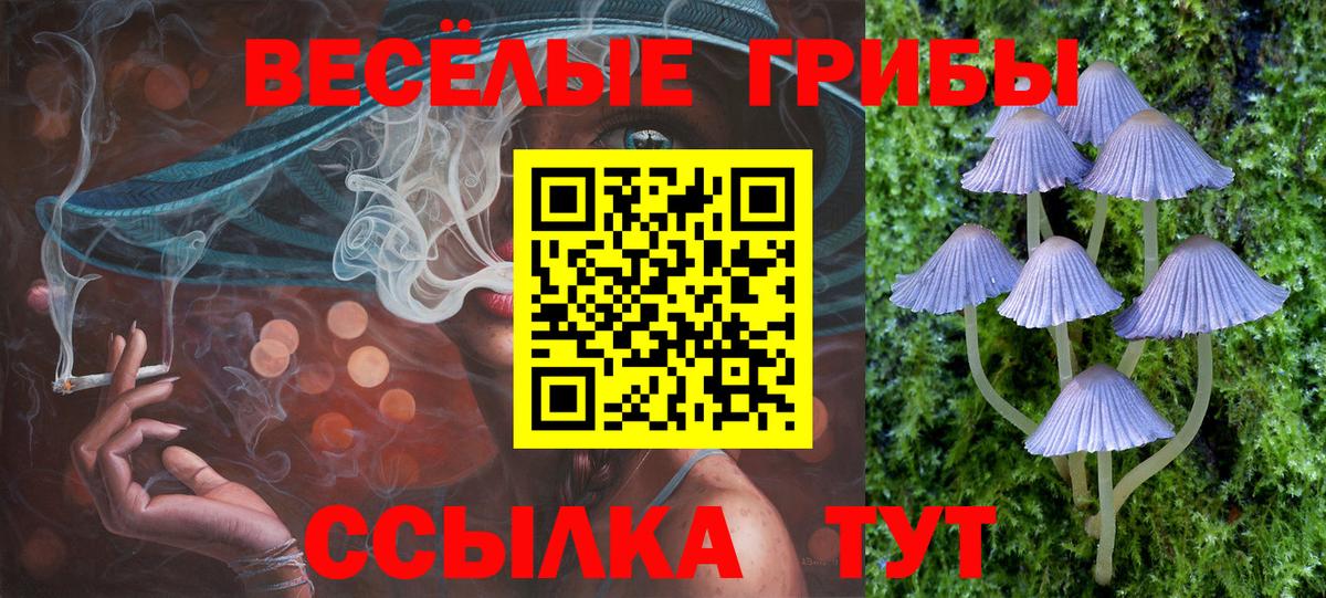 где найти наркотики  Вход с VPN  Смоленск  Псилоцибиновые грибы Psilocybe  Псилоцибиновые грибы Psilocybine cubensis 